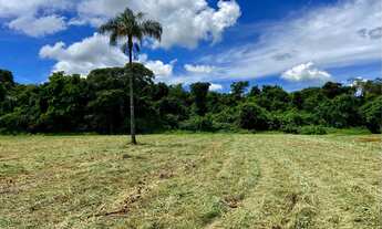 Imagem 4: Chácara de 6.000 m2 - Plana, Energia, Só 2 km de chão