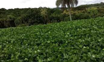 Imagem 5: Chácara 22.000m2 Campo Largo Curitiba