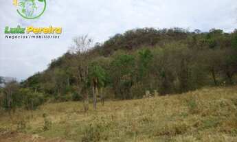 Imagem 3: FAZENDA Á VENDA EM BANDEIRANTES - MS - 1.020 HECTARES (DUPLA APTIDÃO