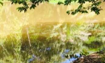 Imagem 6: SITIO RESIDENCIAL em CAMAÇARI - BA, BARRA DO POJUCA (MONTE GORDO