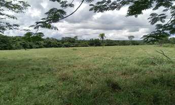 Imagem: FAZENDA EM CONCEIÇÃO DO TOCANTINS - TO
