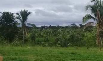Imagem 6: FAZENDA À VENDA EM RECURSOLÂNDIA - TO - DE 700 ALQUEIRÕES (DUPLA APTIDÃO
