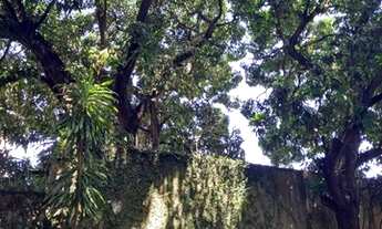 Imagem 2: Apartamento para venda com 125 metros quadrados com 3 quartos em Madalena - Recife - Perna