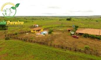 Imagem 2: FAZENDA À VENDA EM CONCEIÇÃO DO ARAGUAIA-PA-4.855 HECTARES (DUPLA APTIDÃO