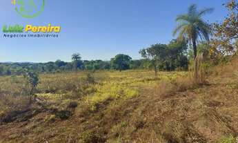 Imagem 2: FAZENDA À VENDA NO VALE DO ARAGUAIA - TO - 711,48 HECTARES (DUPLA APTIDÃO