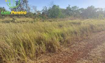 Imagem 6: FAZENDA À VENDA NO VALE DO ARAGUAIA - TO - 711,48 HECTARES (DUPLA APTIDÃO