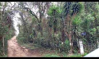 Imagem 3: Sitio Com 8 Alqueires Proximo Cstelo Branco Shopping Catarina