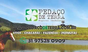 Imagem 2: Terreno 161 Ha em Martinho Campos