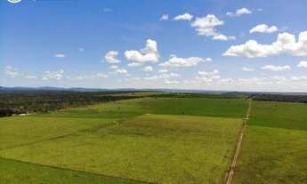 Imagem 6: FAZENDA Á VENDA NA REGIÃO DE ARAGUAÍNA- TO -17.352 HECTARES (DUPLA APTIDÃO