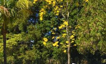 Imagem 5: Condomínio Porta do sol chácara com lindo paisagismo e privacidade em condomínio fechado