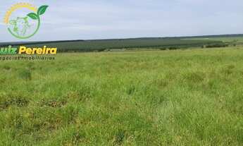 Imagem 2: FAZENDA À VENDA EM SANTA RITA DO PARDO-MS- 1.977 HEC (DUPLA APTIDÃO