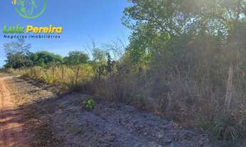 Imagem 4: FAZENDA À VENDA NO VALE DO ARAGUAIA - TO - 711,48 HECTARES (DUPLA APTIDÃO
