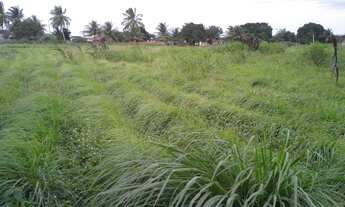 Imagem 2: Fazenda com 80 há , casa, curral, aprisco grande, cercados com pasto, Br 304