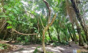 Imagem 3: Terreno à venda, 750 m² pertinho da praia e centro do Arraial Dajuda, Bahia