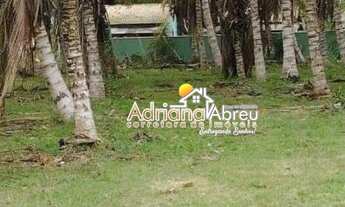 Imagem 5: Vendo Terreno Localizado no Bairro Florestinha