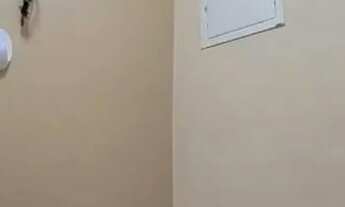 Imagem 7: Apartamento no Recreio dos Bandeirantes possui 97 metros quadrados com 3 quartos