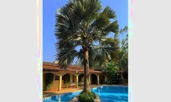 Imagem: Aconchegante Sitio a venda no Rio Acima