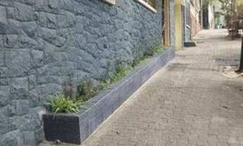 Imagem 2: Amplo Apartamento de 2 dormitórios, recém reformado