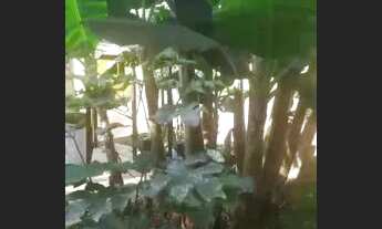 Imagem 7: VENDO OU TROCO CASA COM 4 QUARTOS NA CIDADE OSFAYA LUZIANIA GO