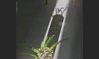 Imagem 6: Apartamento Padrão em São José dos Campos