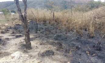 Imagem 2: Lotes na fercal Terreno / lote com venda por R$45.000