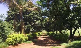 Imagem 4: Compro sítio em Londrina PR até 7.5 milhões