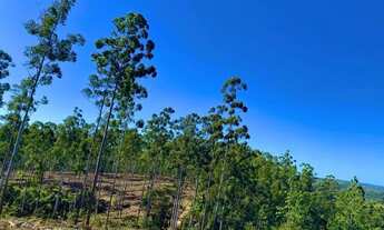 Imagem 3: Desperte para uma vida mais serena: Terrenos de chácara disponíveis em Mairinque!