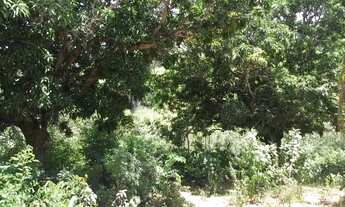 Imagem 6: Terreno rural 36.000m², rios nos fundos, muito verde, Serra do Cipó (Temos varias opções)