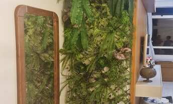 Imagem 6: Apartamento próximo a praia a venda