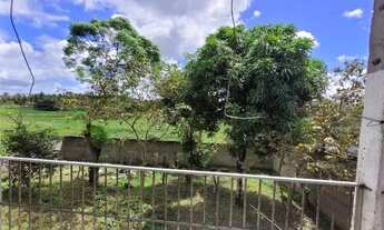 Imagem 6: Alugo Chácara em União dos Palmares