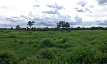 Imagem 6: Fazenda de 2.414 alqueires em Flores Goias