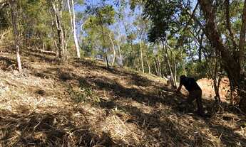 Imagem 7: Terreno Área Rural Pinheiral km5 - 50x60