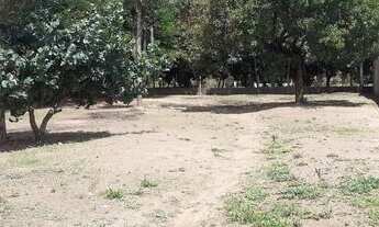 Imagem 3: LOTE 1000 METROS QUADRADOS