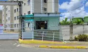 Imagem: LINDO APARTAMENTO, DE 2 QTS, AREA DE LAZER