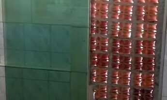 Imagem 7: Alugue casa bairro Bernardo Monteiro