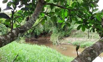 Imagem 8: Sítio a 4km da Sede de Laje-BA de 5.619m2