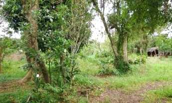 Imagem 2: Terreno para Venda - 0m², 0 dormitórios, Belém Novo