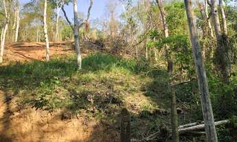 Imagem 4: Terreno Área Rural Pinheiral km5 - 50x60