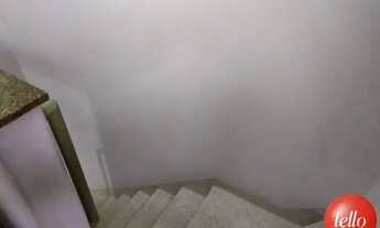 Imagem 5: São Paulo - Casa Padrão - Vila Formosa