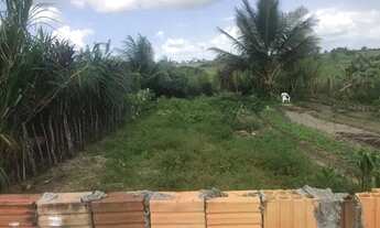 Imagem 3: Terreno 7 x20 lagoa salgada