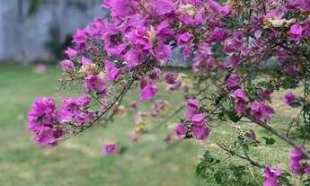 Imagem 3: Aluga-se para eventos