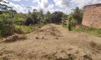 Imagem: Vendo um terreno medindo 10x30, localizado