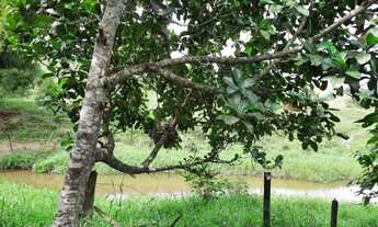 Imagem 13: Sítio a 4km da Sede de Laje-BA de 5.619m2