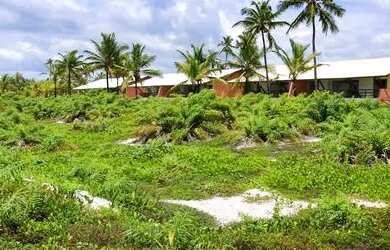 Imagem 3: Casa de condomínio com 3 quartos em Aritaguá - Ilhéus - BA / WhatsApp - 71.98782.7277