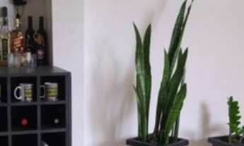 Imagem 6: Casa para Venda em Sorocaba, Vila Almeida, 3 dormitórios, 1 suíte, 2 banheiros, 3 vagas