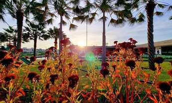 Imagem 2: Terreno poente frente praça com 331m² no Terras 1