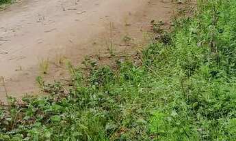 Imagem: Vendo excelente sitio Em Nazaré das farinha
