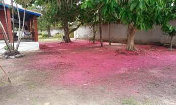 Imagem 6: Vendo chácara com terreno de 4.600 m2