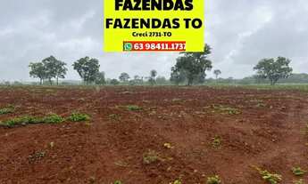 Imagem 6: Fazenda dupla aptidão região entre Paraíso e Divinópolis