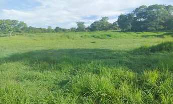 Imagem: Fazenda Goias velho 13,1 alqueires